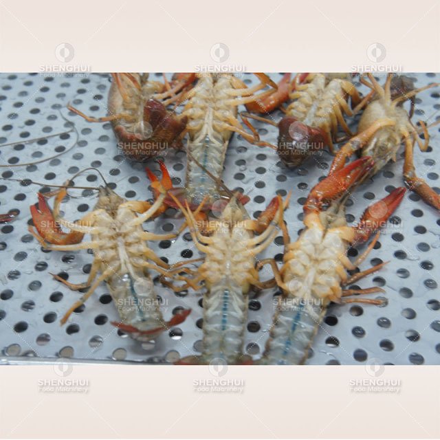 Limpiador comercial de cangrejos de Río ultrasónico