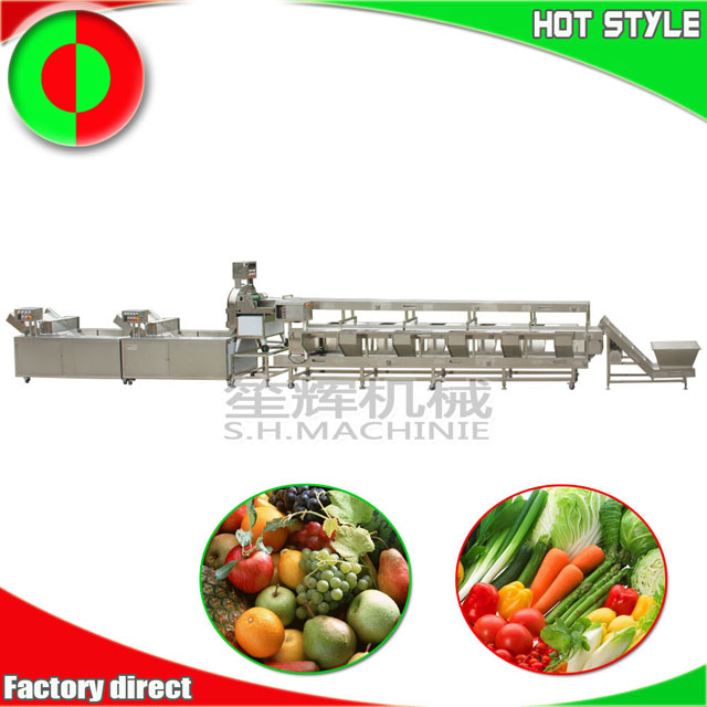 Máquina procesadora de frutas y verduras.